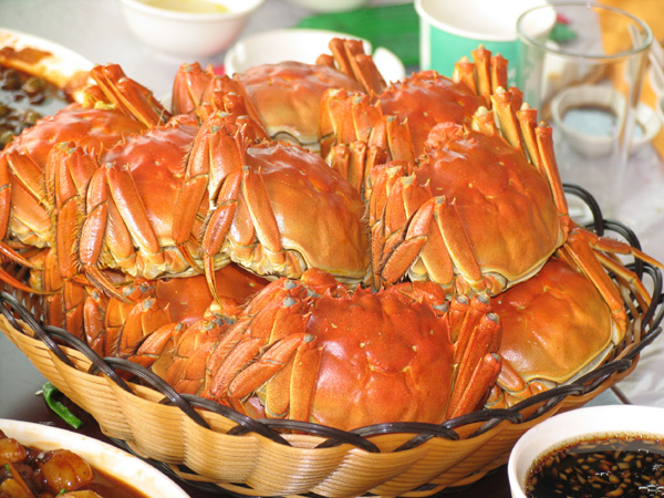 “寶應湖”中華絨螯蟹